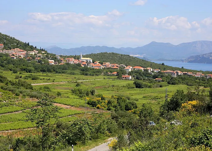 Appartamento With Parking Space Janjina, Peljesac - 21984 Janjina